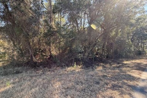 Land in Dunnellon, Florida № 2162489 - photo 8