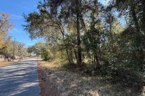 Land in Dunnellon, Florida № 2162489 - photo 7