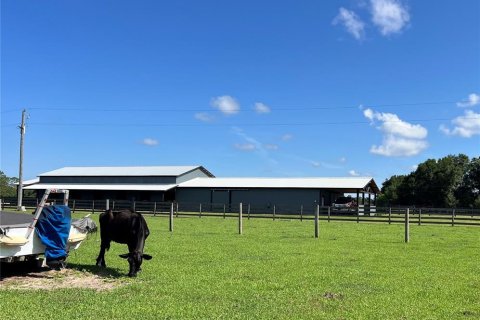 Land in Summerfield, Florida № 1817322 - photo 12