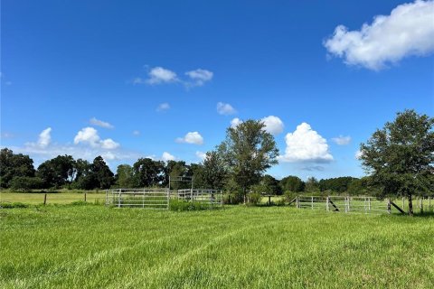 Land in Summerfield, Florida № 1817322 - photo 4