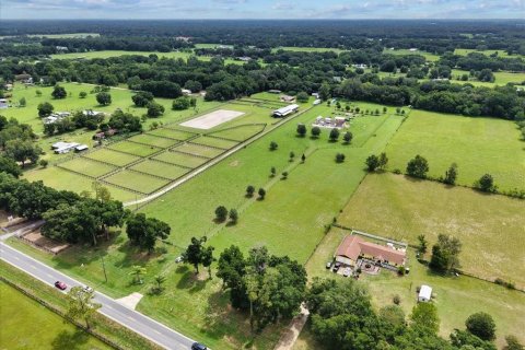 Land in Summerfield, Florida № 1817322 - photo 21