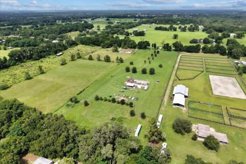 Land in Summerfield, Florida № 1817322 - photo 24