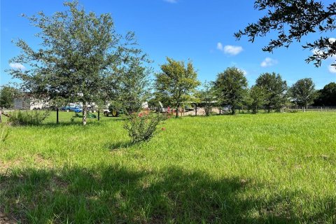 Land in Summerfield, Florida № 1817322 - photo 7