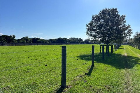 Land in Summerfield, Florida № 1817322 - photo 3