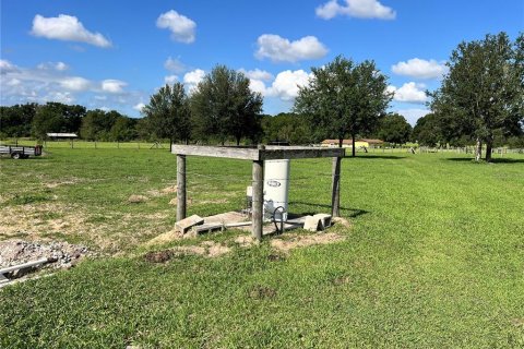 Land in Summerfield, Florida № 1817322 - photo 20