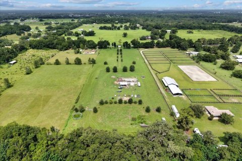 Land in Summerfield, Florida № 1817322 - photo 23