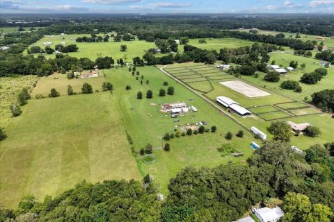 Land in Summerfield, Florida № 1817322 - photo 25