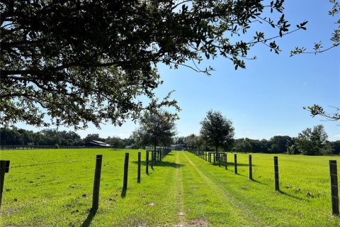 Land in Summerfield, Florida № 1817322 - photo 1