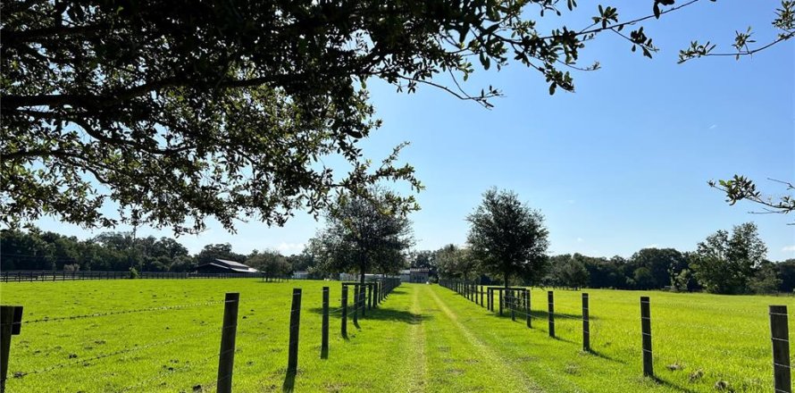 Land in Summerfield, Florida № 1817322
