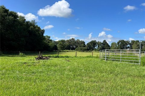 Land in Summerfield, Florida № 1817322 - photo 6