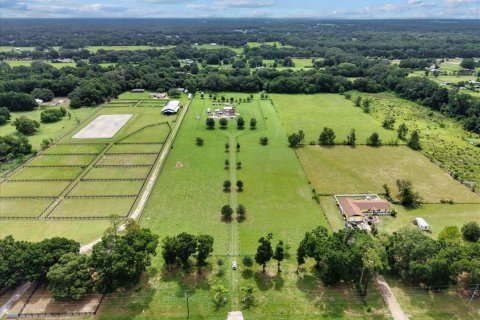 Land in Summerfield, Florida № 1817322 - photo 2