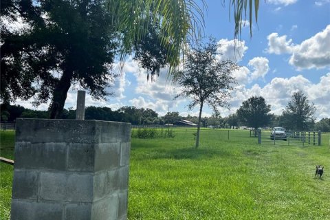 Land in Summerfield, Florida № 1817322 - photo 19