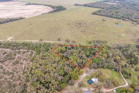 Terreno en venta en Archer, Florida № 1016482 - foto 3