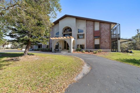 House in Odessa, Florida 6 bedrooms, 562.15 sq.m. № 2100203
