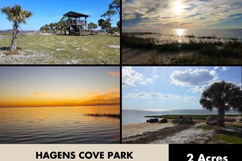 Land in Perry, Florida № 2266429 - photo 3