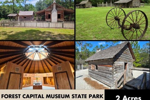 Land in Perry, Florida № 2266429 - photo 14