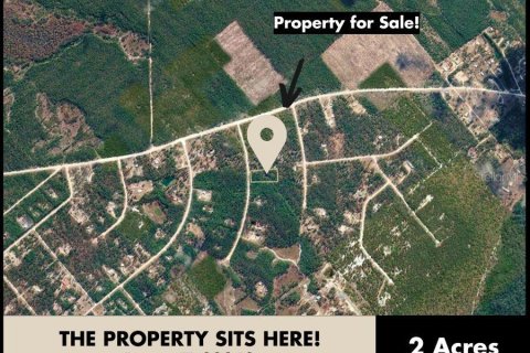 Land in Perry, Florida № 2266429 - photo 10