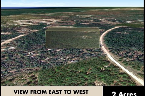 Land in Perry, Florida № 2266429 - photo 11