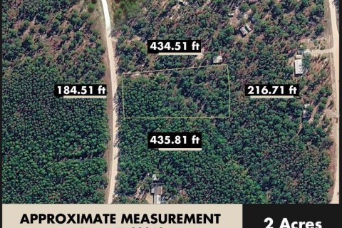 Land in Perry, Florida № 2266429 - photo 2