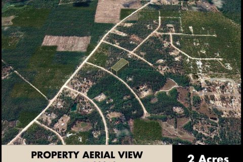 Land in Perry, Florida № 2266429 - photo 13