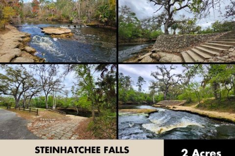 Land in Perry, Florida № 2266429 - photo 5