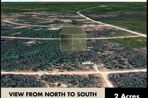 Land in Perry, Florida № 2266429 - photo 15