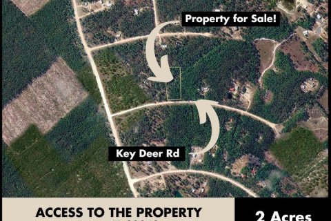 Land in Perry, Florida № 2266429 - photo 6