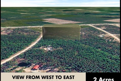 Land in Perry, Florida № 2266429 - photo 9