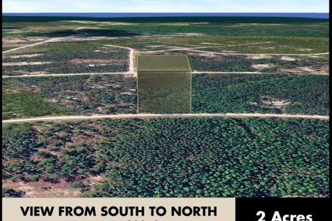 Land in Perry, Florida № 2266429 - photo 17