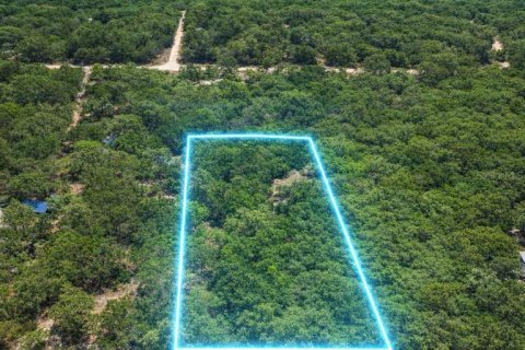 Land in Perry, Florida № 2266429 - photo 12