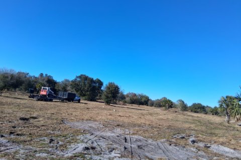 Купить коммерческую недвижимость в Окичоби, Флорида № 2083474 - фото 6