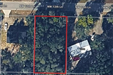 Terrain à Ocala, Floride № 2388317