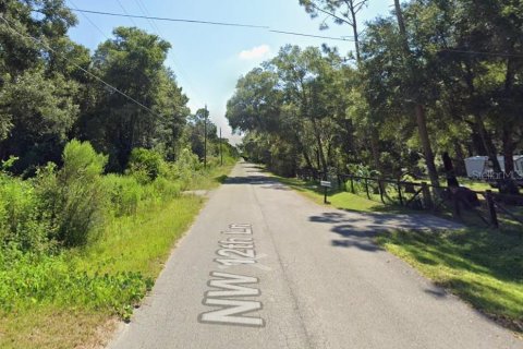 Terrain à vendre à Ocala, Floride № 2388317 - photo 3