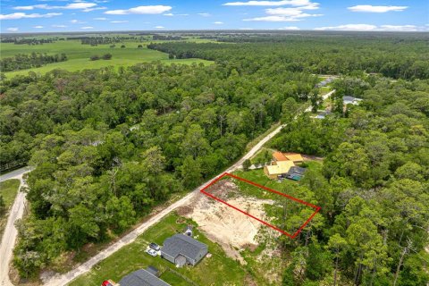Land in Ocala, Florida № 2199187