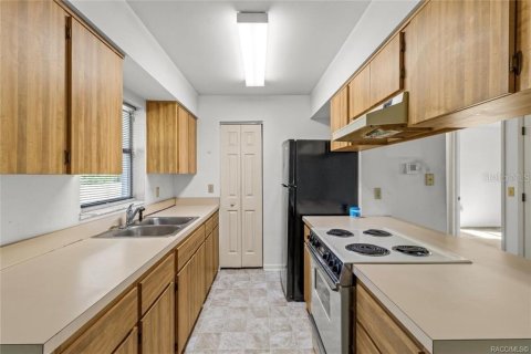 Villa ou maison à vendre à Inverness, Floride: 3 chambres, 94.2 m2 № 1634079 - photo 10