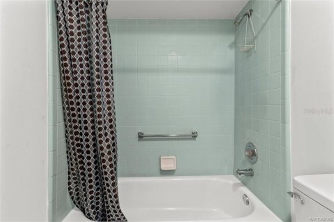 Villa ou maison à vendre à Inverness, Floride: 3 chambres, 94.2 m2 № 1634079 - photo 20
