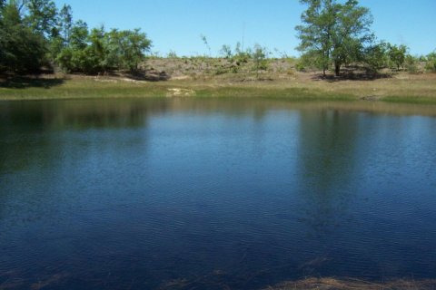 Land in Westville, Florida № 560624 - photo 1