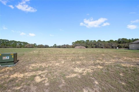 Land in Umatilla, Florida № 2215115 - photo 2