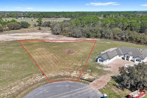 Land in Umatilla, Florida № 2215115