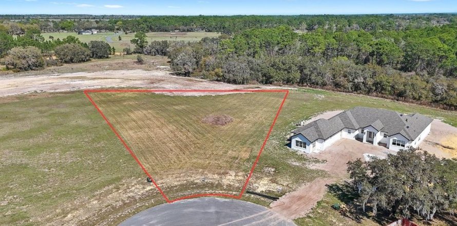 Land in Umatilla, Florida № 2215115