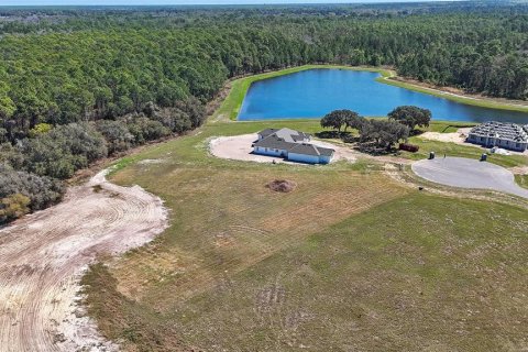 Land in Umatilla, Florida № 2215115 - photo 7