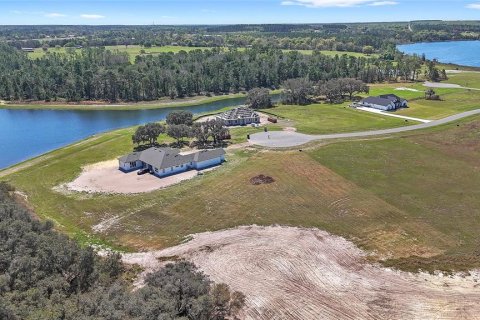 Land in Umatilla, Florida № 2215115 - photo 8
