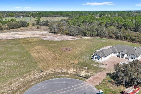 Land in Umatilla, Florida № 2215115 - photo 5