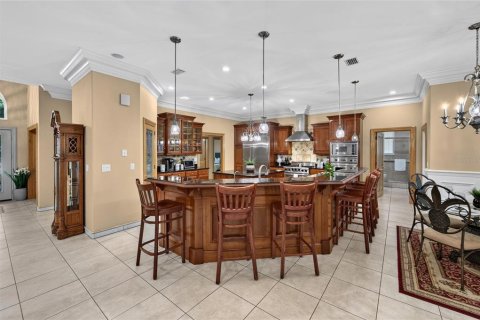 Villa ou maison à vendre à Valrico, Floride: 4 chambres, 351.54 m2 № 2430909 - photo 15