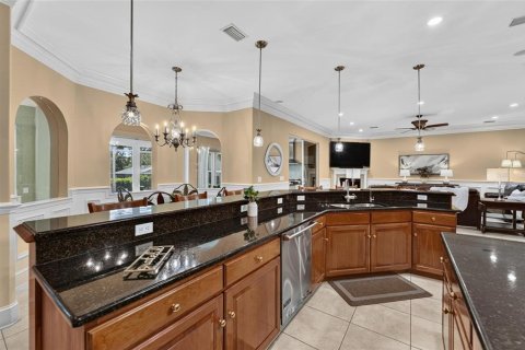 Villa ou maison à vendre à Valrico, Floride: 4 chambres, 351.54 m2 № 2430909 - photo 11
