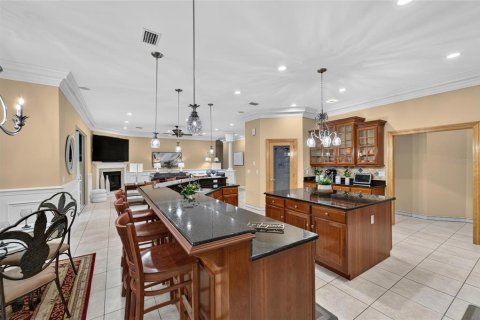 Villa ou maison à vendre à Valrico, Floride: 4 chambres, 351.54 m2 № 2430909 - photo 8
