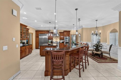 Villa ou maison à vendre à Valrico, Floride: 4 chambres, 351.54 m2 № 2430909 - photo 14