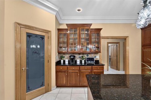 Villa ou maison à vendre à Valrico, Floride: 4 chambres, 351.54 m2 № 2430909 - photo 12