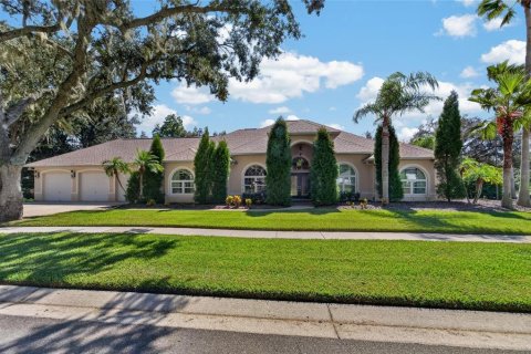 Villa ou maison à Valrico, Floride 4 chambres, 351.54 m2 № 2430909