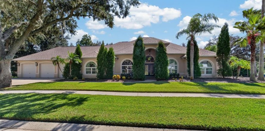 Villa ou maison à Valrico, Floride 4 chambres, 351.54 m2 № 2430909